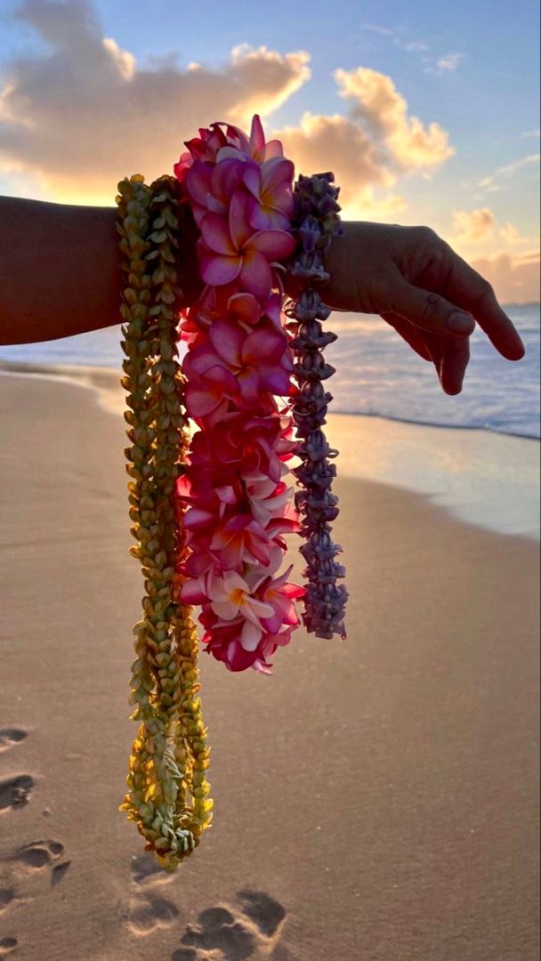 a person is holding some flowers on the beach