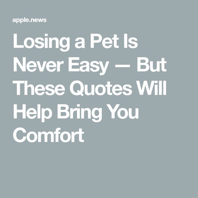 the text reads losing a pet is never easy but these quotes will help bring you comfort