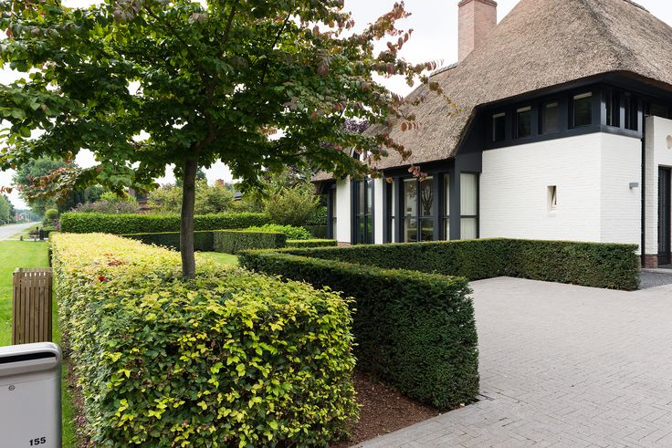 a white and black house surrounded by hedges