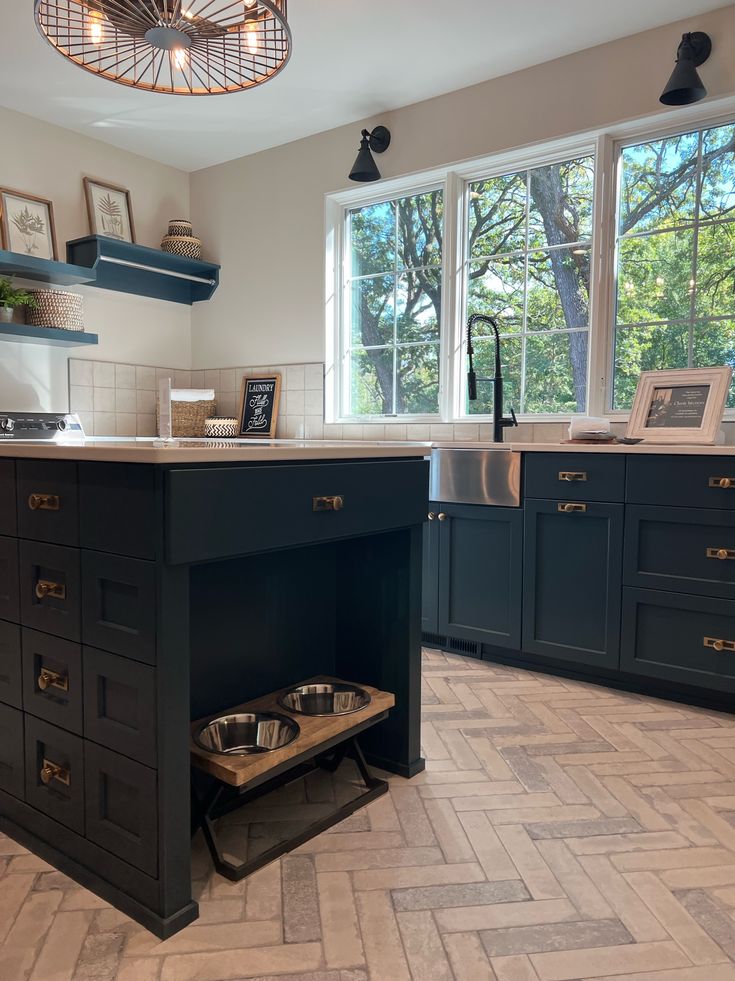 a kitchen with blue cabinets and an island that has a dog dish on it in front of the sink