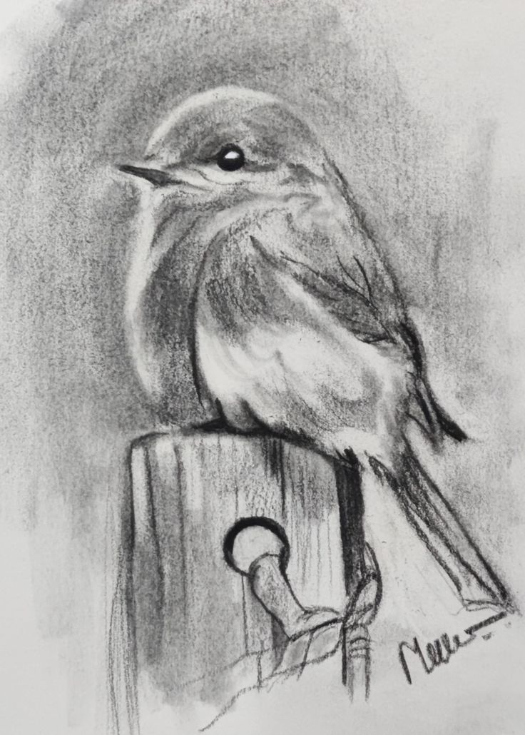 a drawing of a bird sitting on top of a piece of wood next to a key