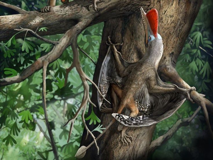 an artist's rendering of a bird in a tree with another bird on its back