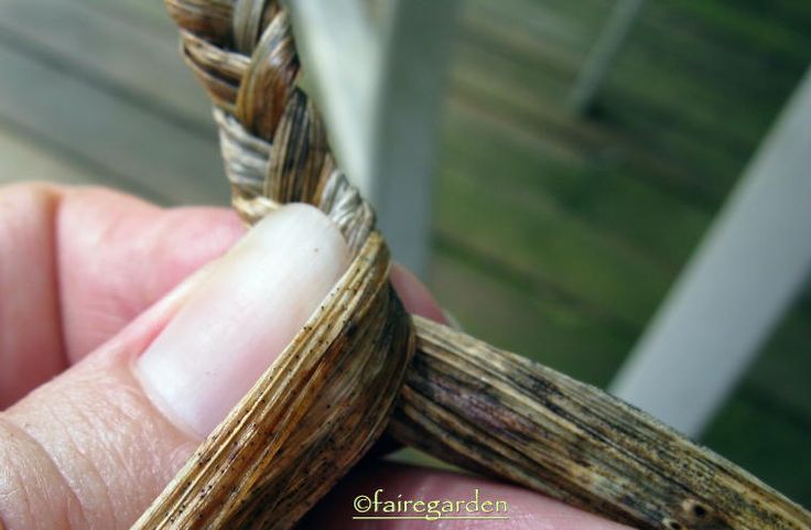 a hand holding a small piece of wood in it's palm