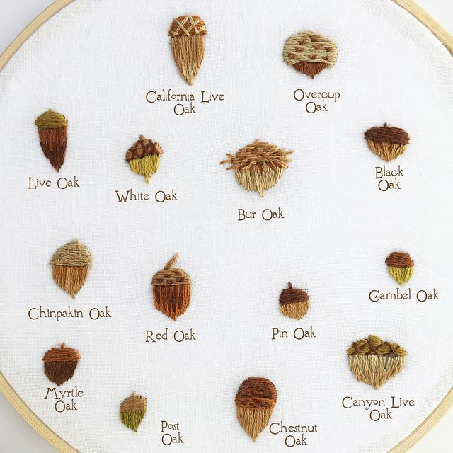 a cross stitch pattern with different types of acorns