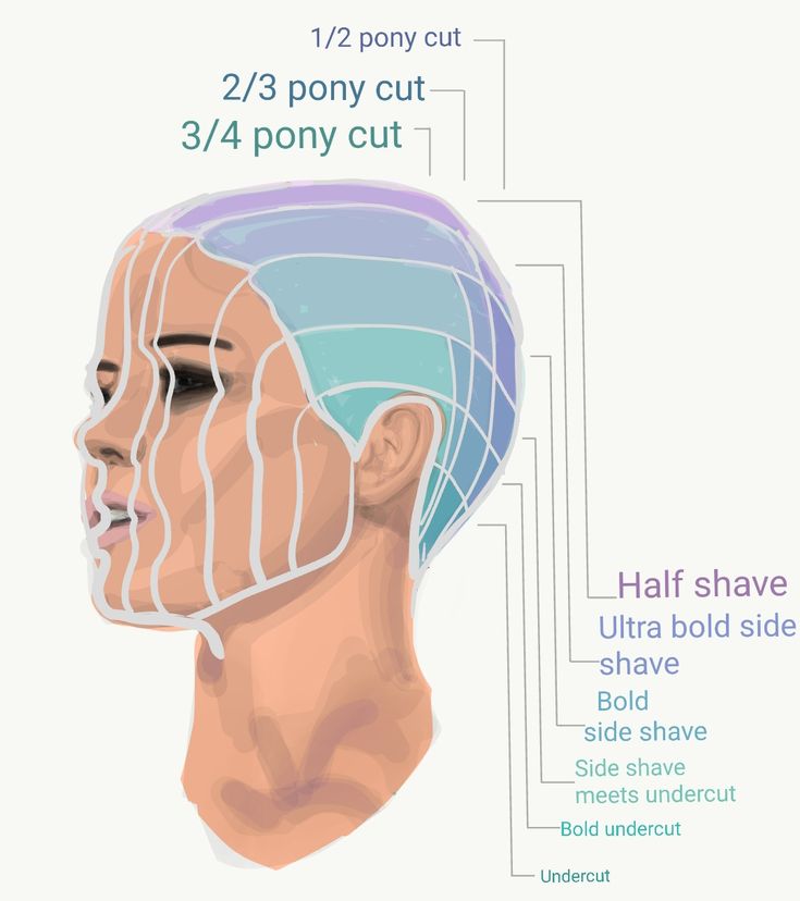 Here is a guide for shaving the side of your head. There are endless ways  to do it but this is your basic outline. Half shave, side shave, undercut, and tapered back for more of a pony tail look Shaved Side Of Head, Back Of Head Shaved, Side Shaved Hair, Short Hair Shaved Sides, Shaved Long Hair, Shave Designs, Half Shaved Head, Side Haircut, Side Shave