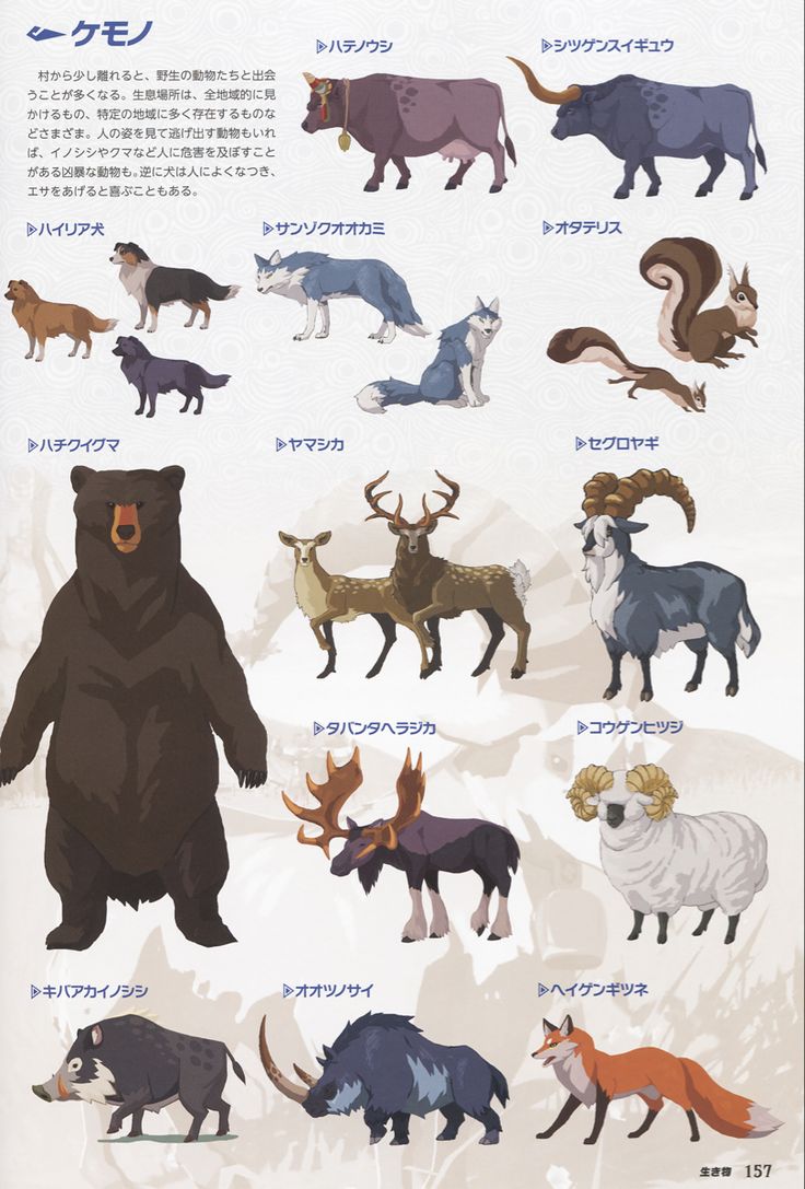 an illustrated poster with different types of animals in japanese characters, including bears and foxes