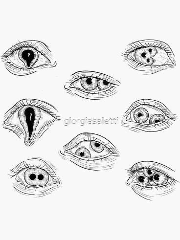 six different types of eyes drawn in black and white with one eye open, the other closed