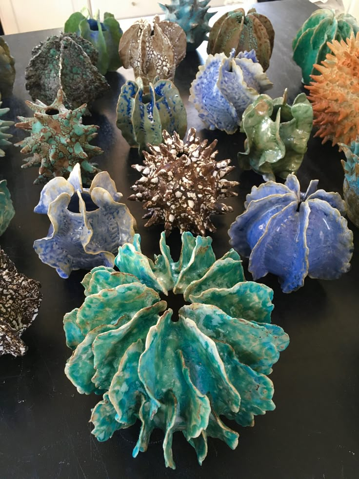 many different types of sea urchins on a black table with blue and green colors