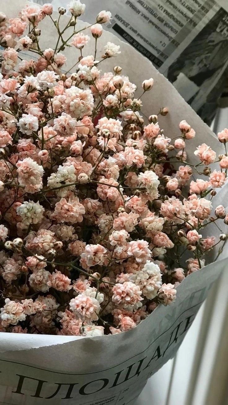 a bunch of pink and white flowers sitting on top of a newspaper