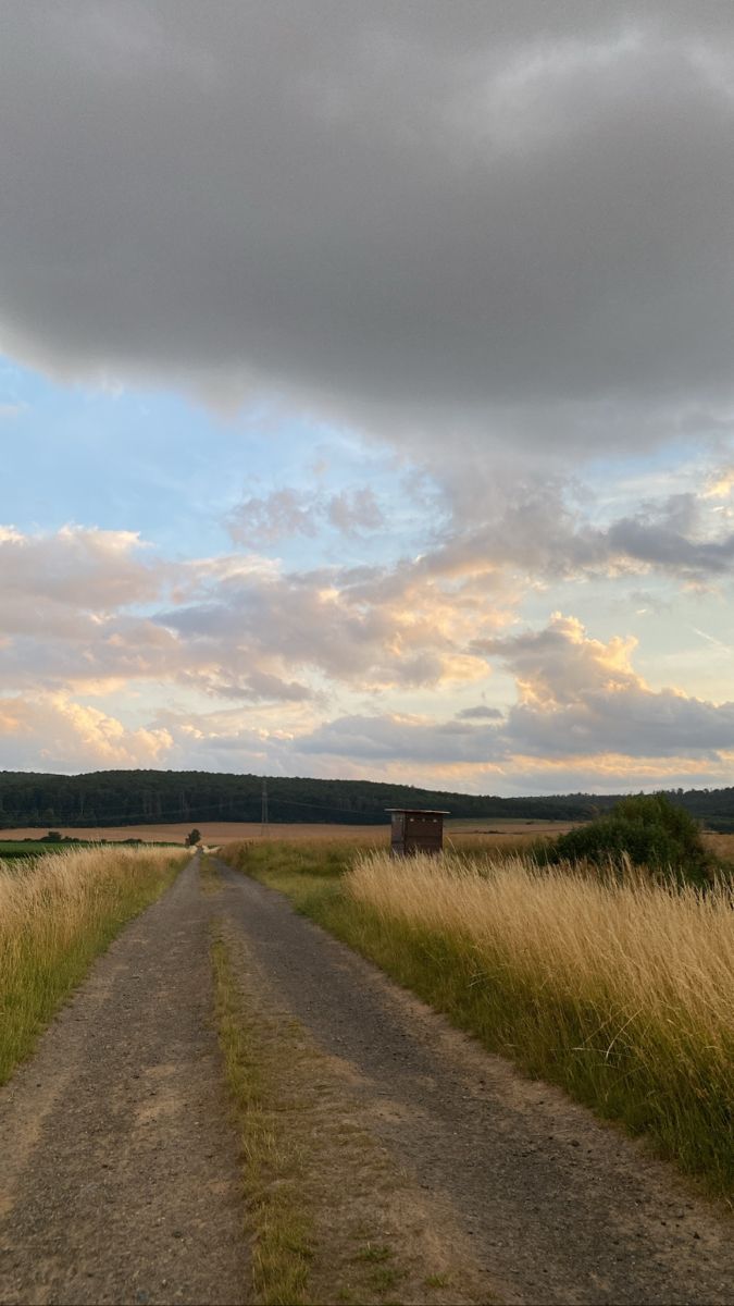 a dirt road in the middle of a field with tall grass on both sides and clouds above