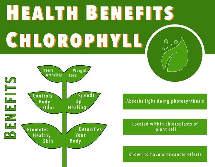 Daily Skin Care Products, Benefits Of Chlorophyll, Chlorophyll Benefits, Best Skin Care Routine, We Are Strong, Night And Day, Red Blood, Skin Therapy, Be Positive