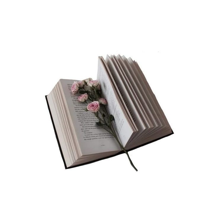 an open book with pink flowers on it