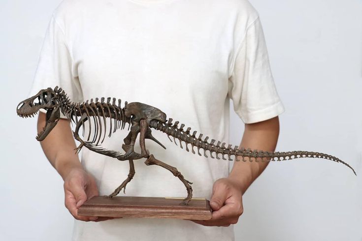 a man holding a dinosaur skeleton in his hands