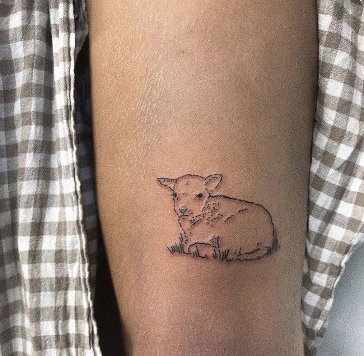 a small sheep tattoo on the arm