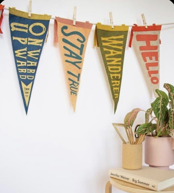 there are three pennants hanging on the wall next to a potted houseplant