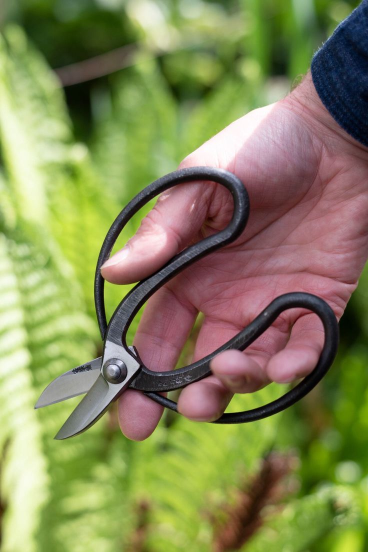 a person holding a pair of scissors in their left hand and green plants in the background