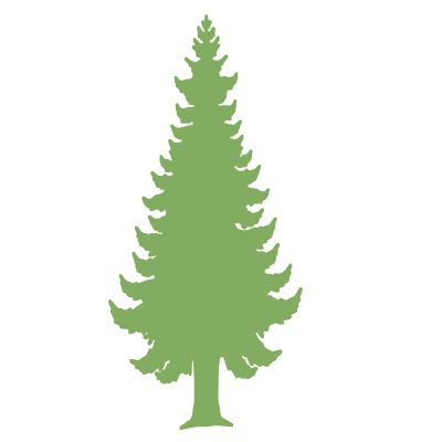 a green pine tree with the words, ` person'on it