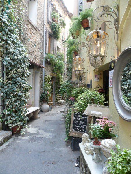 an alleyway with potted plants on either side and a mirror hanging from the wall