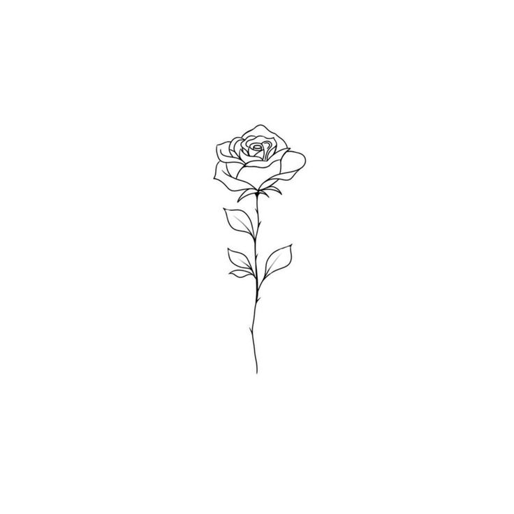 a black and white drawing of a single rose on a white background with the word love written below it