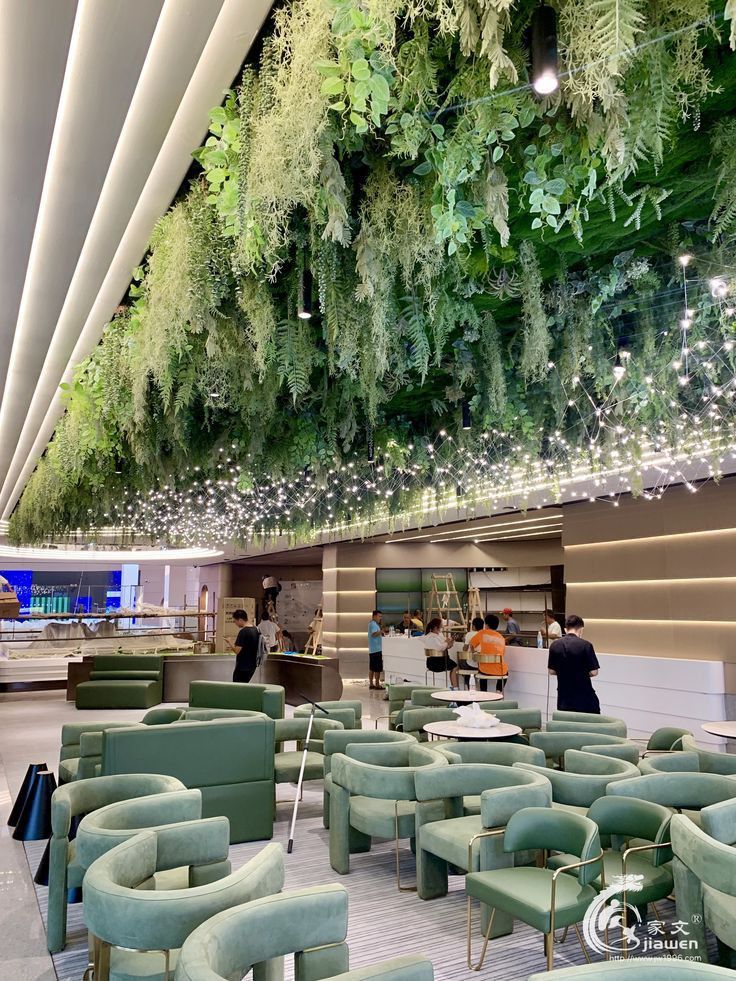 the interior of an airport with green chairs and plants hanging from the ceiling above them