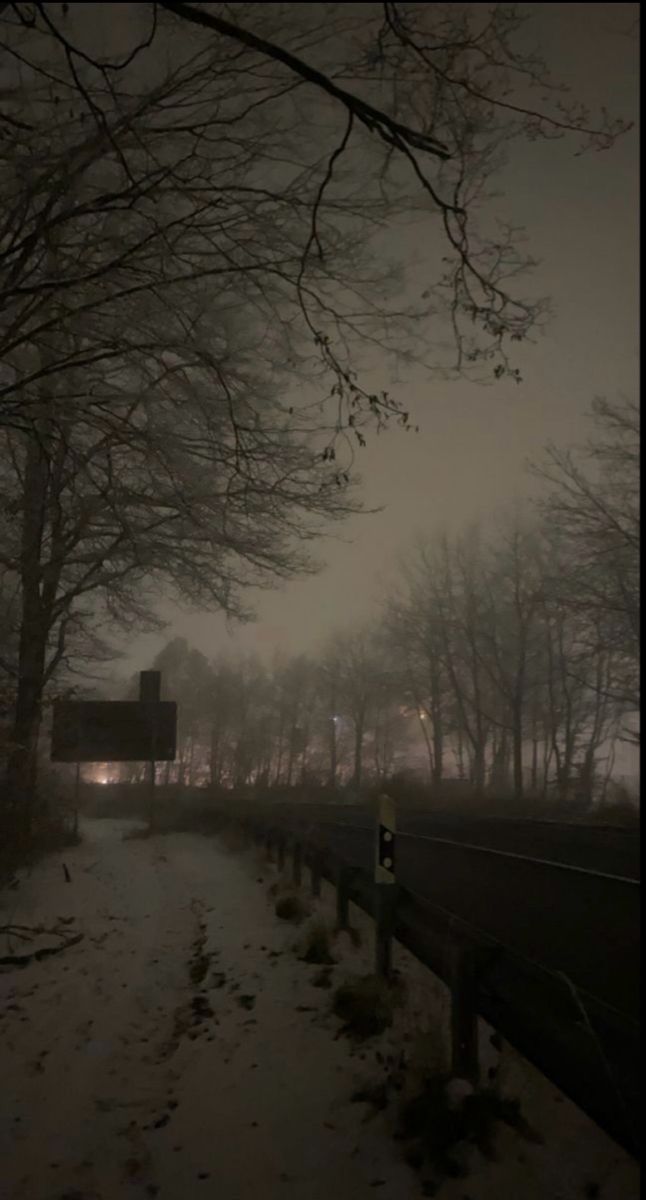 a path in the snow with trees on both sides and a street light at night