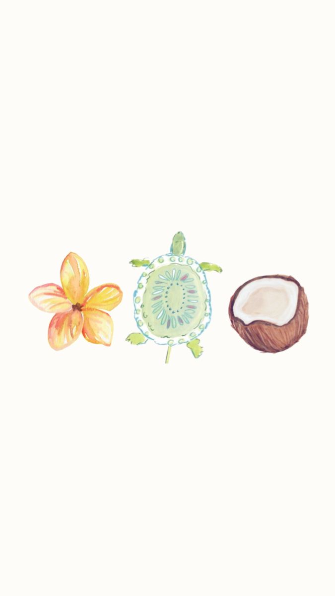 a watercolor drawing of a turtle and a flower on a white background with the words,