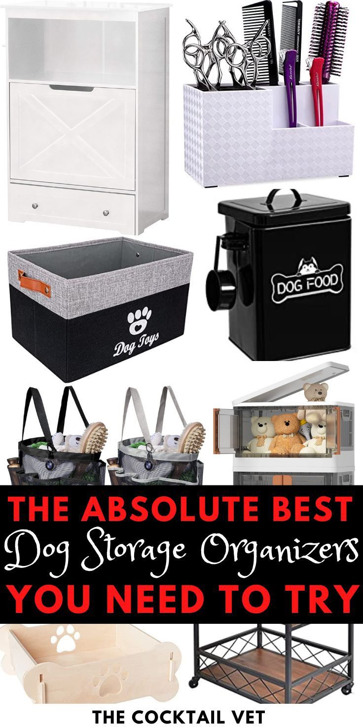 Dog storage organizers Storage Ideas For Dog Supplies, Dog Accessories Storage Ideas, Pet Storage Organization, Dog Treat Storage Ideas, Dog Things Organization, How To Organize Dog Supplies, Dog Storage Ideas, Dog Item Storage, Modern Dog Toy Storage