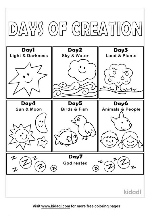 the days of creation worksheet for kids to learn how to draw and color