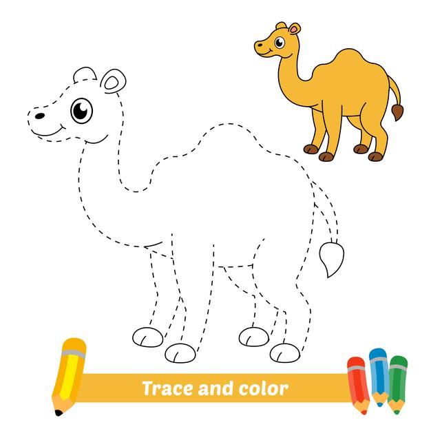 Trace and color for kids, camel vector | Premium Vector #Freepik #vector #school #baby #book #kids Drawing Worksheets For Kids, Happy Birthday Friend Funny, Trace And Color, Color By Number Printable, Baby Camel, English Learning Books, Easy Art For Kids, Preschool Colors, Alphabet Activities Preschool