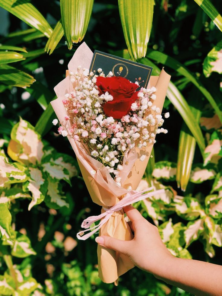 a person holding a bouquet of flowers in front of green leaves and plants with a red rose on it