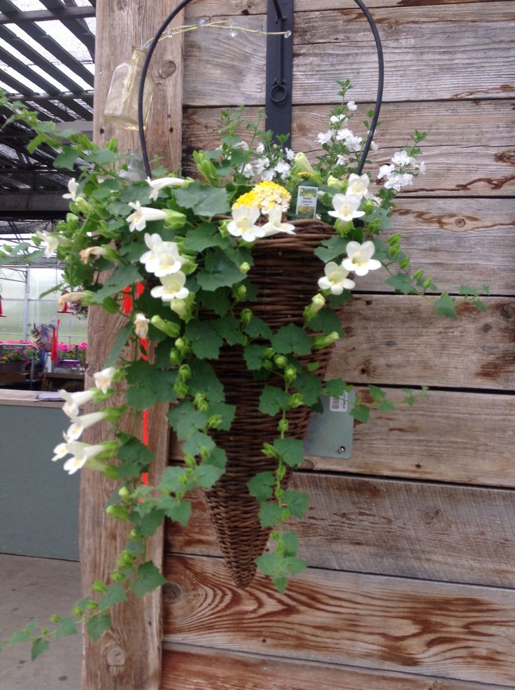 a hanging basket filled with white flowers and greenery next to a wooden structure on the side of a building