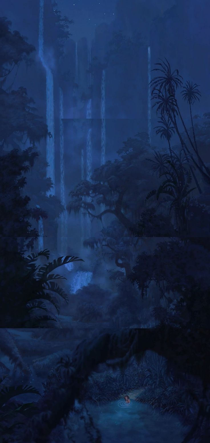 an image of a dark forest at night