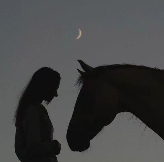 a woman standing next to a horse with the moon in the background