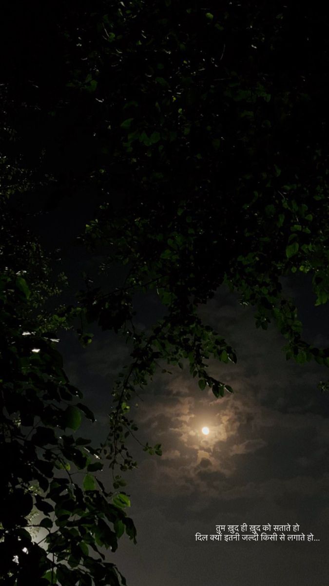 the full moon shines brightly in the dark night sky above some trees and branches