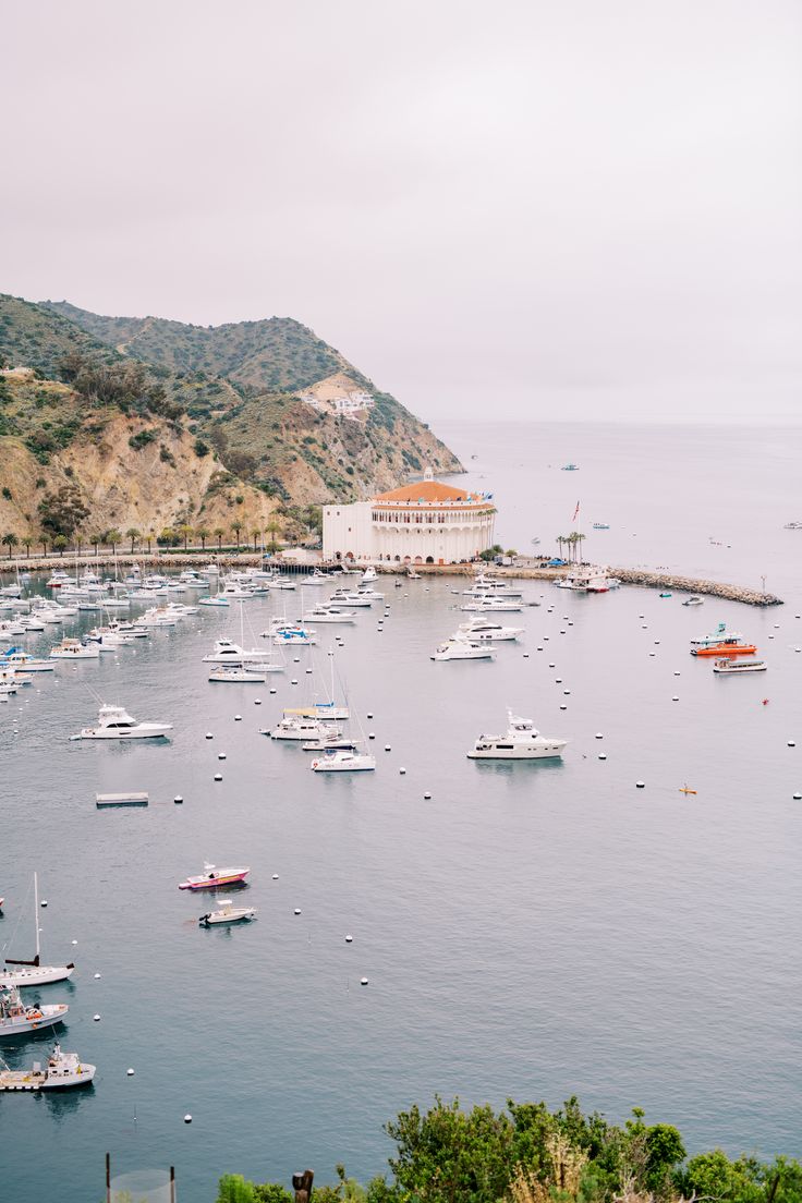 many boats are in the water near a hill