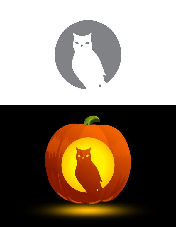 an orange pumpkin with a cat in the center and a white owl on it's side