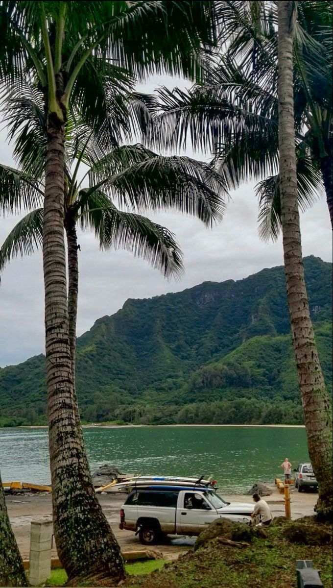 a truck parked on the side of a beach next to some palm trees and mountains