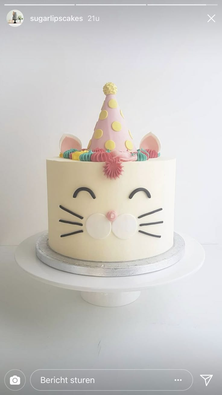 a white cake with a cat face on top and a pink party hat on top