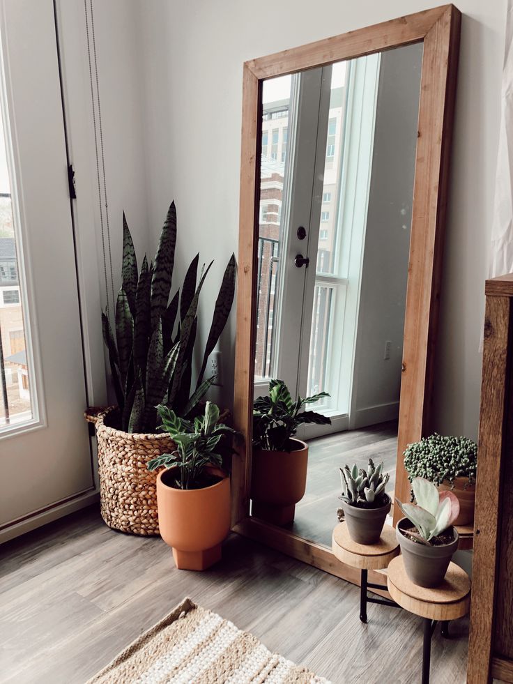 a mirror sitting on top of a wooden shelf next to potted plants in front of a window