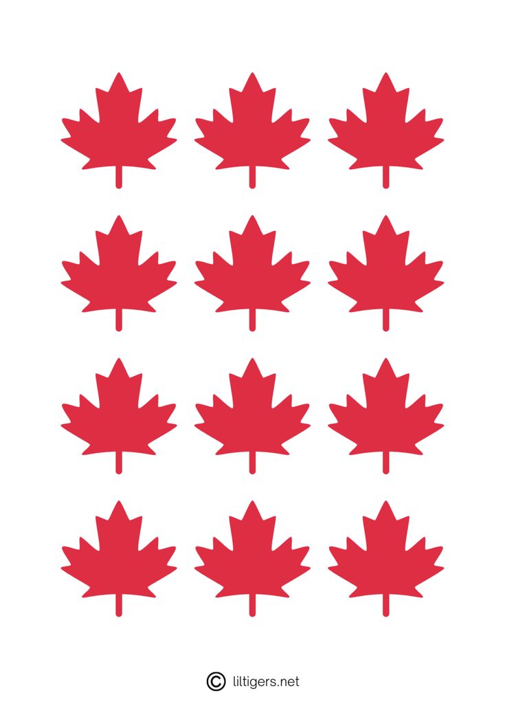 the canadian maple leaf shapes are red