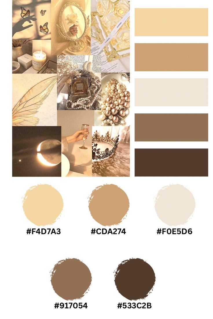 the different shades of brown and beige are shown in this color scheme, with each one being