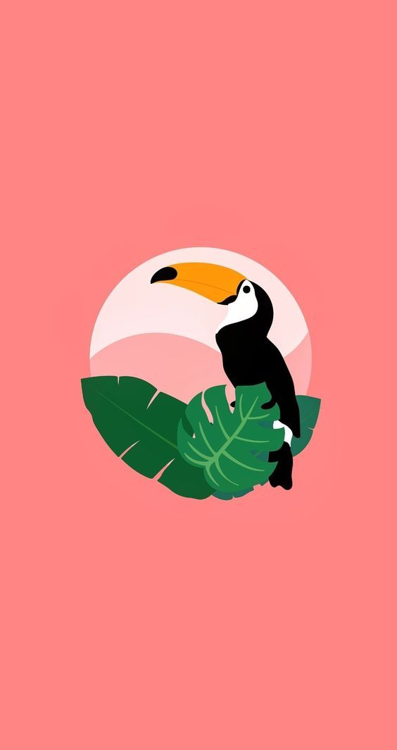 a toucan sitting on top of a green leaf next to a pink background