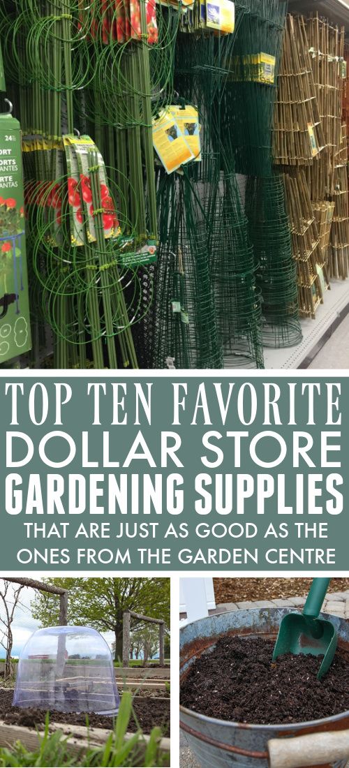 the top ten favorite dollar store gardening supplies that are just as good as the ones from the garden centre