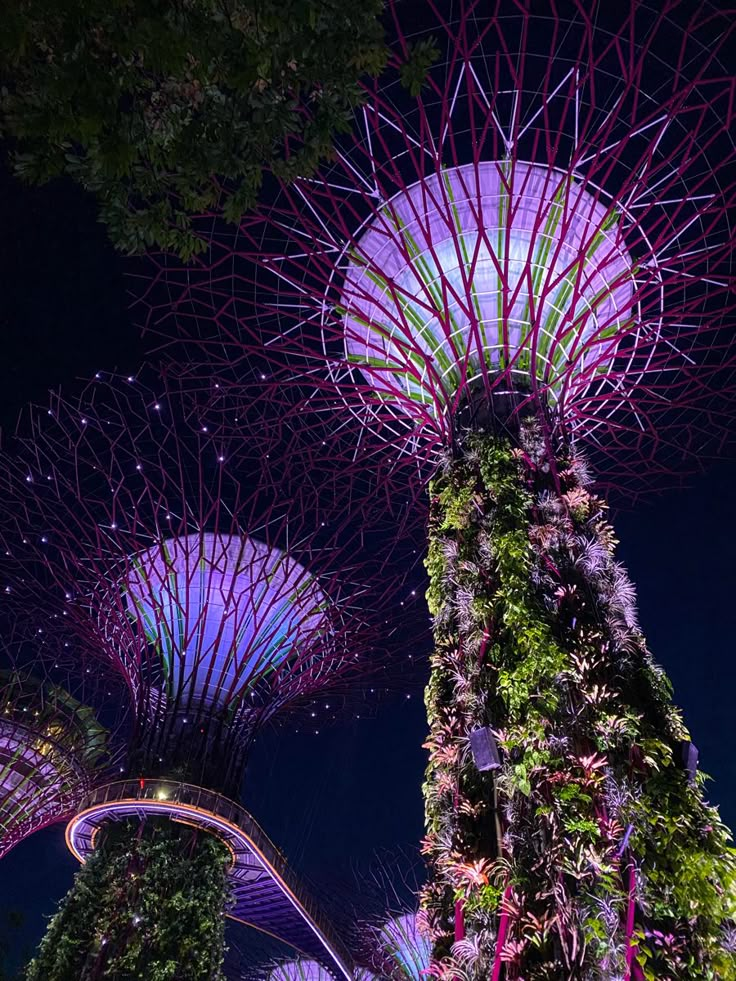 gardens by the bay at night with purple lights and trees in the foreground, singapore