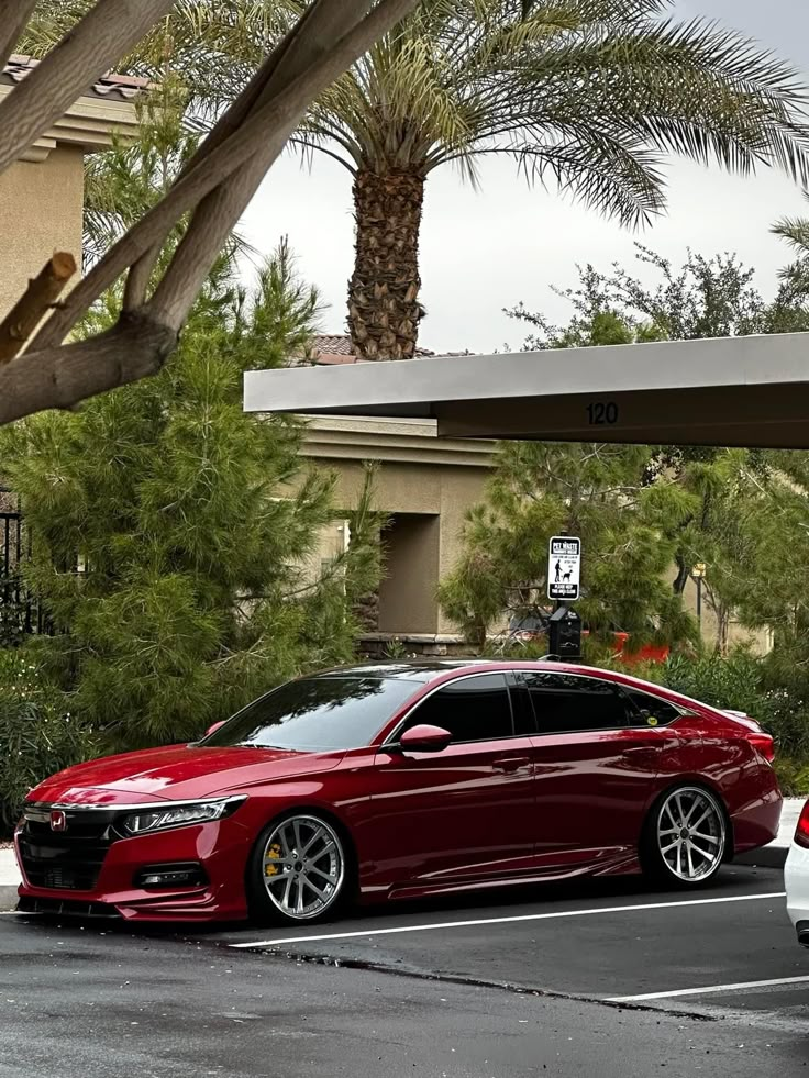 a red car parked in a parking lot next to a white car and palm trees