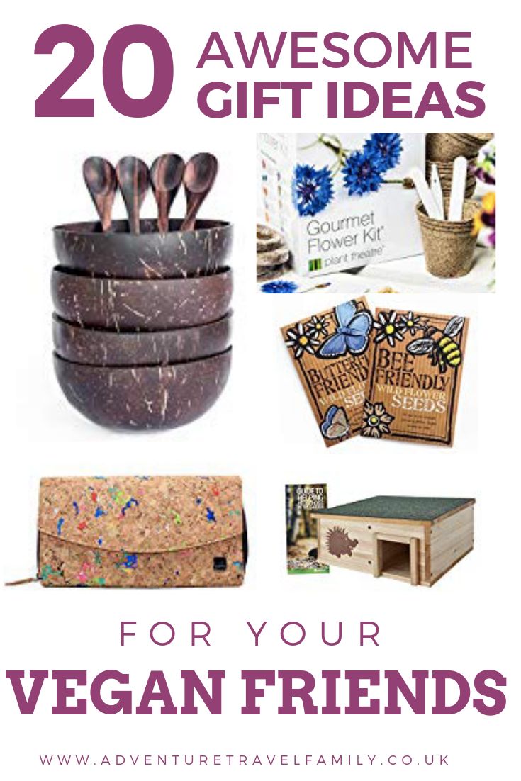 the cover of 20 awesome gift ideas for your vegan friends, with text overlay