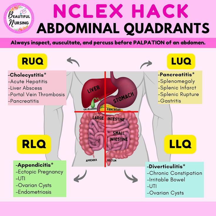 an image of the anatomy of the stomach and its corresponding organs, labeled in red