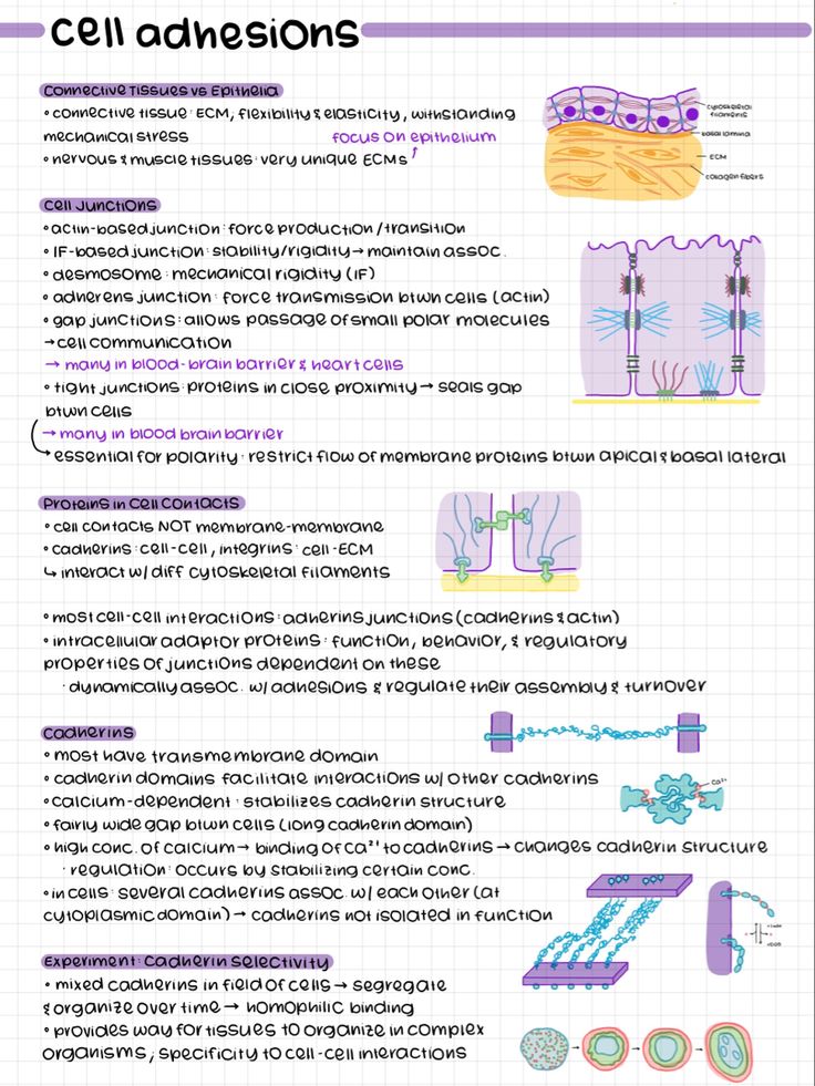 an info sheet with some information about cell phones and other things to see in it