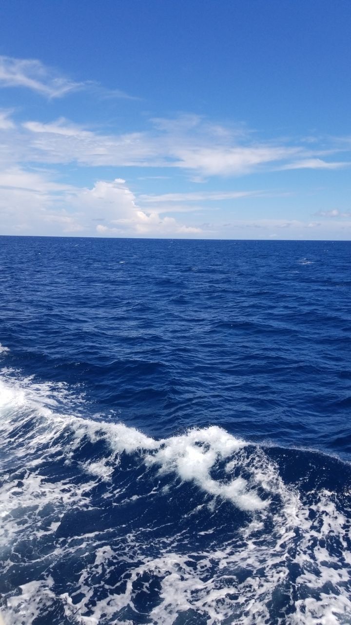 the wake of a boat as it travels through the open blue ocean on a sunny day