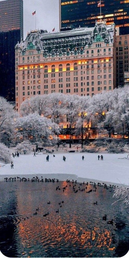 the city is covered in snow and lit up at night